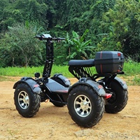 Vente directe usine – Trottinette électrique tout-terrain 4 roues 10000W, chariot à quatre roues motrices, chariot de golf haute vitesse pour safari dans le désert