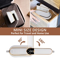 Fer à vapeur professionnel 220V, mini défroisseur portatif pour vêtements, idéal pour la maison et les voyages