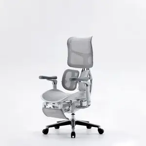 SIHOO S300 high end series luxury modern comfort armrest adjustable design task computer high back mesh ergonomic chair office