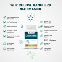 Capsules de Niacinamide Végétariennes 500mg Direct Usine – Supplément de Vitamine B3 Sans Effet de Suralimentation, à Base de Plantes, Favorise le Métabolisme Cellulaire