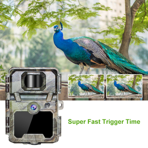 Vision nocturne infrarouge 1080P piste de <span class=keywords><strong>chasse</strong></span> caméra de surveillance de la faune caméra de jeu <span class=keywords><strong>cellulaire</strong></span> - Product Image 5