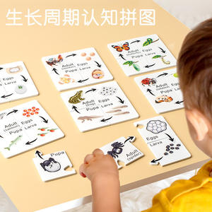 Puzzle de cycle de vie des animaux en bois, matériel <span class=keywords><strong>Montessori</strong></span>, jouet éducatif DIY, jeu d'appariement pour l'école à domicile, <span class=keywords><strong>la</strong></span> maternelle, les tout-petits et les enfants - Product Image 3