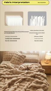 <b>Winter</b> Thickened <b>Warm</b> Comfort Single Coral Velvet Office Nap Sofa <b>Blanket</b> - Product Image 4