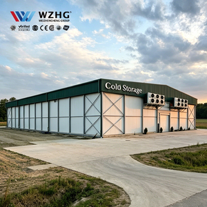 Fabricante de Estructuras de Acero Q355b para Almacenes de Refrigeración Industrial a Gran Escala, Desarrollador de Inmuebles de Múltiples Pisos - Product Image 1