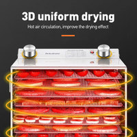 Lyophilisateur domestique Lyophilisateur Prix compétitif Équipement de lyophilisation sous vide pour fruits et légumes tropicaux