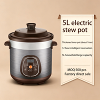 Marmite Électrique en Céramique Non Revêtue Grande Capacité pour la Cuisson de Soupes et de Conge, Certifiée CB