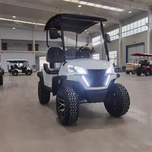 Buggy eléctrico de caza todoterreno, carrito de golf de 2 plazas, carrito de comestibles eléctrico de viaje personalizado, scooters eléctricos, precio de descuento de 7-9h - Product Image 5