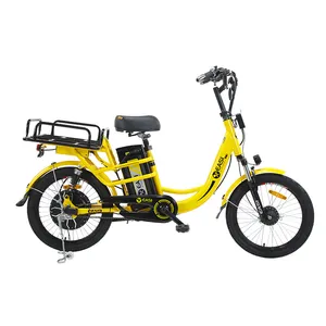 2023 E-Cargo City Bikes 20Inch Stalen Frame 2.125 Band 48V 400W Lithium Batterij Elektrische Bakfiets