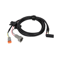 Faisceau de câblage automobile étanche à DT06-3S IP67 d'usine avec câble fusible Garantie 1 an