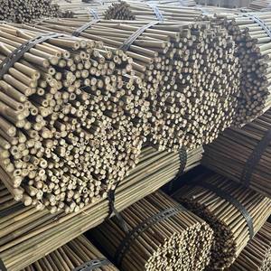 Cañas de bambú natural Postes de bambú Estaca de bambú Tonkin 120cm - Product Image 3