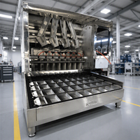 Fabriek verkoopt automatische productielijn voor gebakken instant noodles, gebakken noedels, Chinese instant noedels.