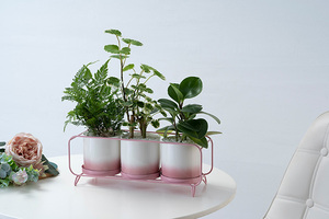 Dropshipping fioriere in ceramica vasi da <span class=keywords><strong>fiori</strong></span> in ceramica da <span class=keywords><strong>disegno</strong></span> a mano con foro di drenaggio supporto rettangolare in ferro di colore sfumato per la casa - Product Image 5