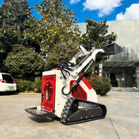 Pengiriman Gratis Mini Wheel Skid Steer Loader Murah Dengan Mesin Diesel Aliran Hidrolik Tinggi Loader Crawler Bertenaga
