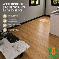 Modernes Vorgefertigtes Haus 20ft Winziges Erweiterbares Container-Haus Luxuriöses Vorgefertigtes Erweiterbares Haus