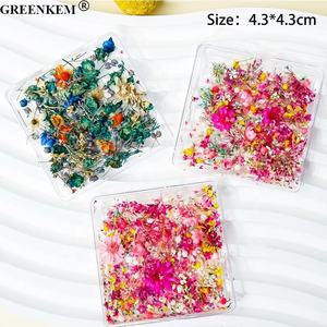 Nuevas flores secas Nail Art Charms Mixed Tianxing Sunflower Real Flower Nail Decoration DIY Dry Flower Nail Charms - Product Image 4
