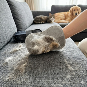 Pet Hair Removal Gloves One Size Soft Skin Friendly For Cat <b>Dog</b> Hair Cleaning Carpets <b>Sofas</b> - Product Image 1