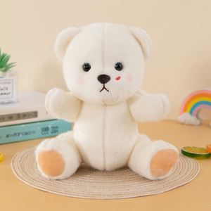 CustomPlushMaker Ours en peluche personnalisé, jouet en peluche, ours nu qui peut poser et se déshabiller, cadeau d'anniversaire, vêtements personnalisables - Product Image 3