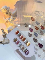 Vendeeni 12 couleurs oeil de chat Gel vernis Flash ensemble Oem marque privée diamant paillettes Disco Uv Gel vernis à ongles ensemble fournitures Laser