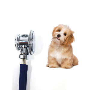 Stéthoscope vétérinaire double tête VahnLing pour vétérinaires - Product Image 4