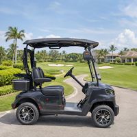 Voiturette de golf électrique 2 places tout-terrain, buggy à batterie lithium, voiturette de golf personnalisée pour parcours de golf et complexe hôtelier