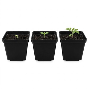 Macetas Cuadradas de Plástico Negro con Orificios de Drenaje para Plantas Verdes y Flores, Diseño Moderno y Minimalista para Jardín - Product Image 1