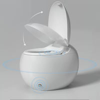 Nouveau luxe monobloc en forme d'oeuf en céramique automatique Intelligent multifonctionnel télécommande articles sanitaires toilette intelligente