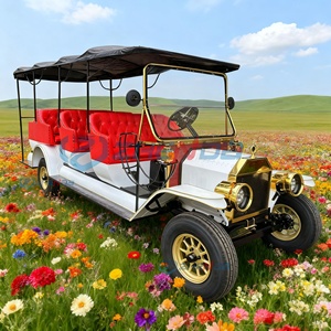 Auto Eléctrico Clásico de 48V/72V para Viajes y Turismo, 8 Asientos, Auto Clásico Retro para Bodas y Uso en Exteriores - Product Image 1