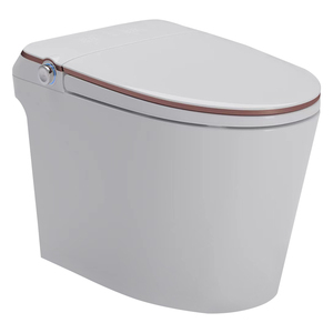 Смарт-туалет с автоматическим сглаживанием - Product Image 1