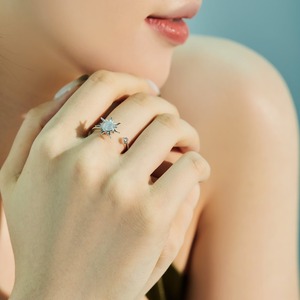 Dylam Cz Rotatable Anxiety <strong>Ring</strong> Open Charm Best Friend Gift Jewelry Waterproof S925 Silver 18K Gold <strong>Sunflower</strong> <strong>Rings</strong> for Women - Product Image 5