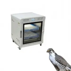 Mini machine d'incubation automatique d'oeufs avec plateau d'oeufs incubateur d'oeufs de pigeon de paon