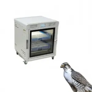 Machine d'incubation automatique de mini-œufs avec plateau à œufs, machine d'incubation d'œufs de <span class=keywords><strong>paon</strong></span> et de <span class=keywords><strong>pigeon</strong></span>, incubateur - Product Image 1