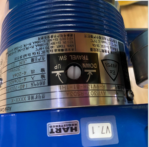 AVP307-RSD3A Hart et retour d'information pour actionneurs pneumatiques à bille et à globe en aluminium - Product Image 5