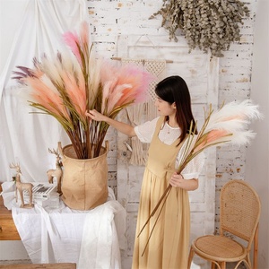 Fausses fleurs Super Star bon marché, roseaux artificiels <span class=keywords><strong>de</strong></span> couleur violette, <span class=keywords><strong>herbe</strong></span> <span class=keywords><strong>de</strong></span> <span class=keywords><strong>pampa</strong></span> pour <span class=keywords><strong>la</strong></span> décoration <span class=keywords><strong>de</strong></span> mariage, L-315 - Product Image 4