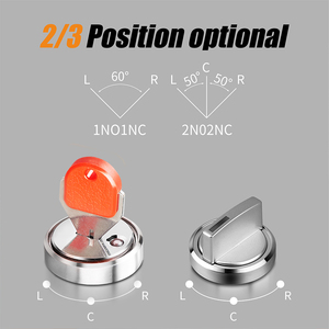 Interrupteur à clé à bouton métallique LANBOO 19/22 mm, type à maintien de position, 2 ou 3 positions, avec LED rouge, verte et bleue au choix - Product Image 4