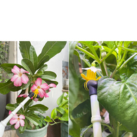 DD3211 Outil d'entrepollination pour jardins intérieurs Tomates Aubergines Poivrons Fleurs Machine d'entrepollination électrique automatique