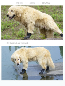 Bottes <span class=keywords><strong>pour</strong></span> <span class=keywords><strong>chien</strong></span> et protège-pattes, chaussures imperméables <span class=keywords><strong>pour</strong></span> chiot, antidérapantes, bottes <span class=keywords><strong>pour</strong></span> <span class=keywords><strong>chien</strong></span> d'extérieur <span class=keywords><strong>pour</strong></span> trottoir chaud, <span class=keywords><strong>neige</strong></span> d'hiver, chaussettes <span class=keywords><strong>pour</strong></span> <span class=keywords><strong>chien</strong></span>, 4 pièces/ensemble - Product Image 4