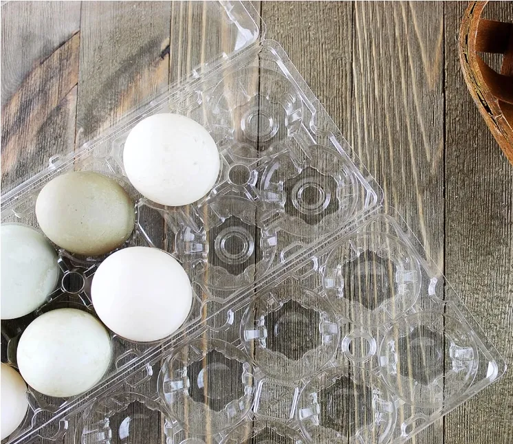 كرتون بيض البط (8 علب) ؛ حاويات بيض كبيرة بلاستيكية لتخزين بيض البط والديك الرومي
