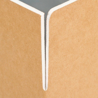Nieuwe koelketen stand-up pouch aluminiumfolie schuim isolatie dozen voor verpakking van verse fruit, groenten en levende vis