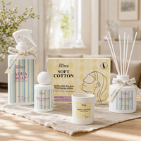 Fabricant de parfums d'intérieur et de nettoyants WELLNESS, logo personnalisé, spray d'ambiance non toxique, flacon en plastique, spray d'huile, désodorisant pour le bureau