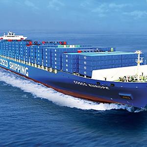 Seefracht-Spediteur von China in die USA, Tür-zu-Tür DDU DDP Seefracht-Agent - Product Image 4