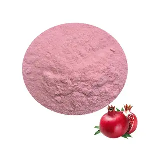 FST Biotec High Quality Organic Pomegranate Juice Powder Fruit Concentrate Food Grade 100% Ellagic Acid