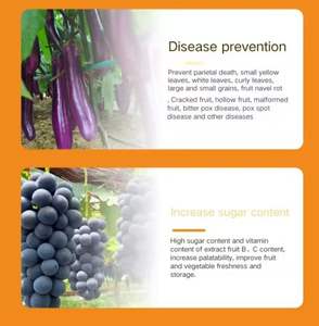 <span class=keywords><strong>Engrais</strong></span> organique liquide hydrosoluble à base d'acide humique, de lithium, de magnésium, de bore, de fer et de zinc pour fleurs et fruits agricoles - Product Image 5