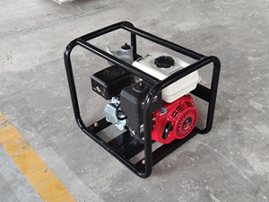 Mini <span class=keywords><strong>pompe</strong></span> à eau à <span class=keywords><strong>essence</strong></span> de 2 pouces, modèle WP20 5HP basse pression pour irrigation et surpression, personnalisable OEM - Product Image 6