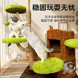 Árbol para gatos de madera maciza al por mayor, poste rascador, estructura para trepar para gatos, soporte para gatos de sisal. - Product Image 1