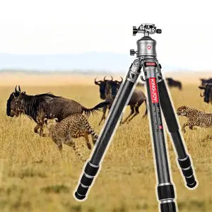 KINGJOY C83 + B30 ev yapımı yüksek kaliteli karbon Fiber profesyonel dslr video için Gimbal büyük Tripod ile kamera tripodu izle kuş