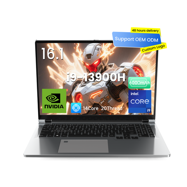 Custom 16-Inch DDR5 Gaming Laptop Intel I9-13900H 13th Gen RTX 4060 14-Core 144Hz 1920x1200 16:10 SSD Storage Win 11 Pro English