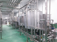 Automatische industriële sap productielijn, ananassap productielijn