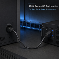 Cable de Alimentación para Rack de Centro de Datos, C20 a SDG400 Saf-D-Grid, Conector T de 20A, SJT 12AWG, 6 Pies/10 Pies