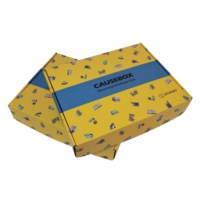 Cajas de Cartón Corrugado para Libros, Bonitas y Ecológicas, Impresas con UV de Doble Cara en Amarillo, Resistentes al Agua, para Galletas y Alimentos, Embalaje Creativo Reciclable