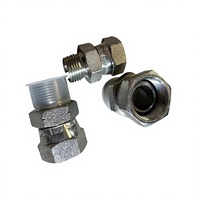 Raccord hydraulique droit en acier au carbone et acier inoxydable sur mesure, filetage BSP